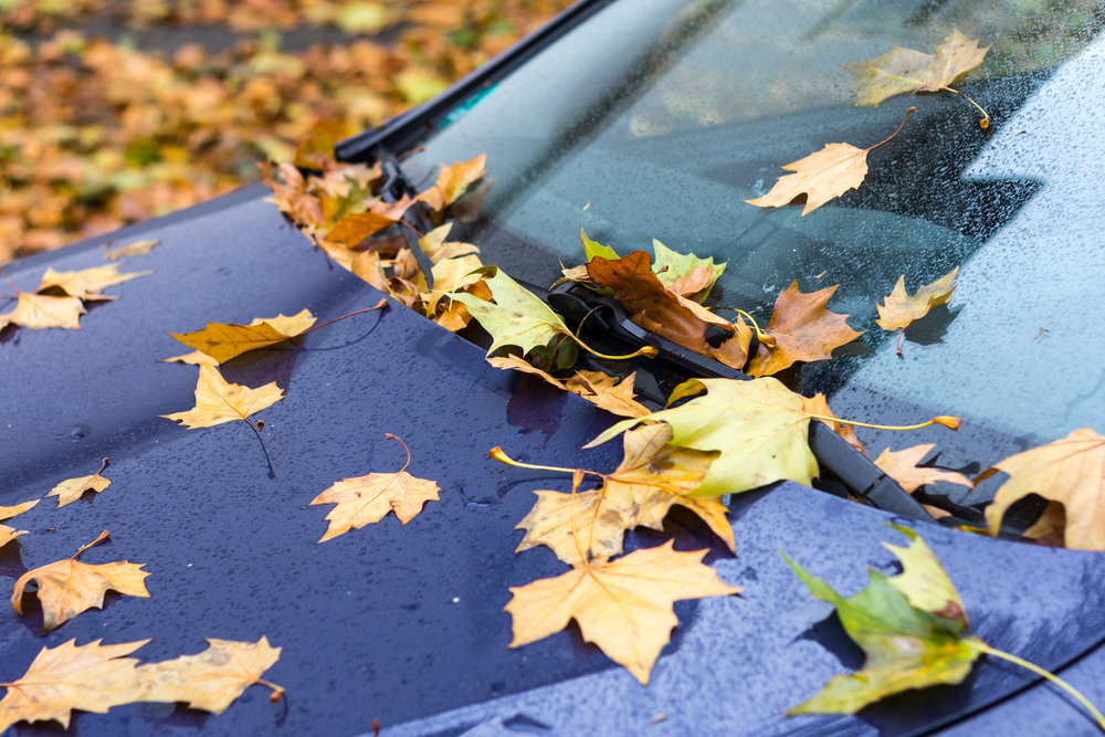 Preparing Auto Repairs for the Cold Weather